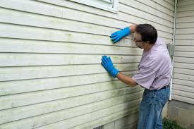 Best Vinyl Siding Installation  in Chico, WA